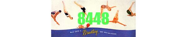 #8448 BRADLEY SWIMSUITS BILLBOARD